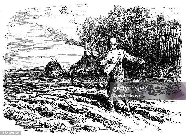 ilustraciones, imágenes clip art, dibujos animados e iconos de stock de anticuario ilustración de agricultores sembrar - sembrar