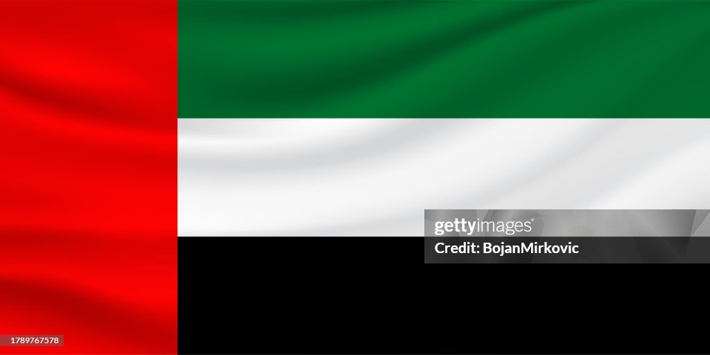 UAE United Arab Emirates flag. Vector
