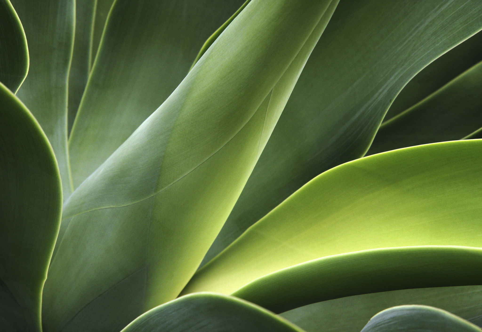 natural colors