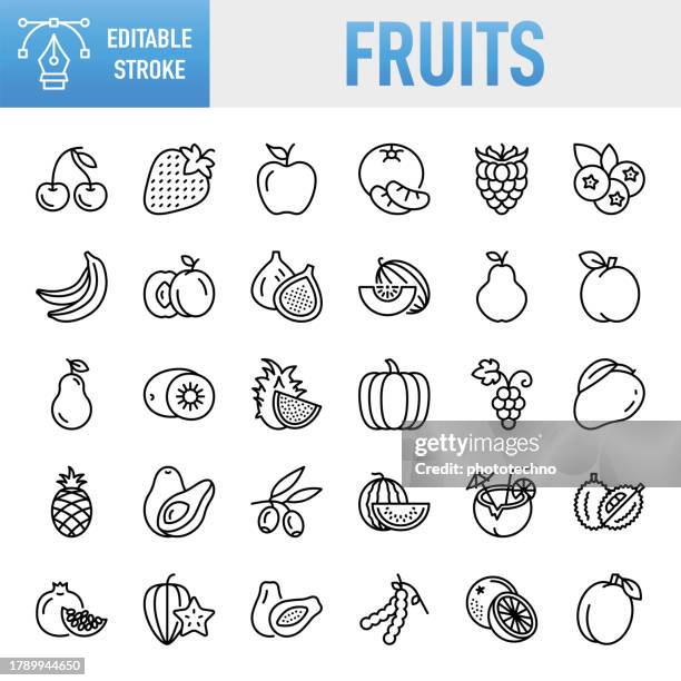 fruits - thin line vector icon set. pixel perfect. for mobile and web. the set contains icons: fruit, healthy eating, healthy lifestyle, strawberry, apple - fruit, orange - fruit, grape, blueberry, avocado, mango fruit, healthy eating, healthy lifestyle - blueberry stock illustrations