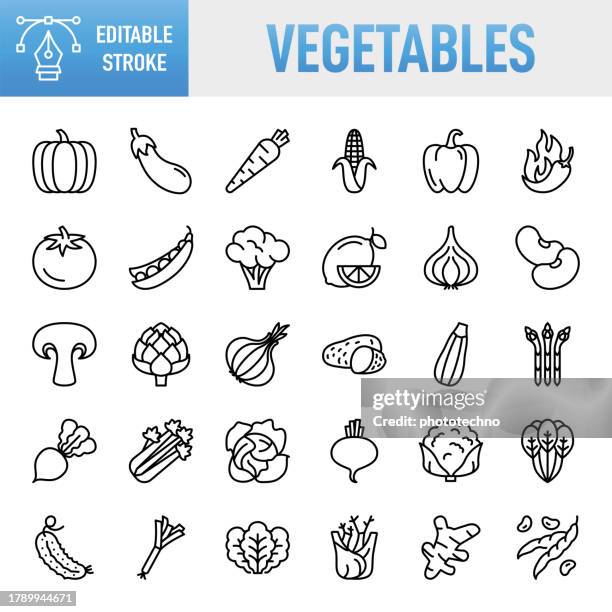 vegetables - thin line vector icon set. pixel perfect. for mobile and web. the set contains icons: vegetable, pumpkin, zucchini, broccoli, cabbage, garlic, chili pepper, corn, celery, carrot, edible mushroom, healthy eating, food, healthy lifestyle - red bean stock illustrations