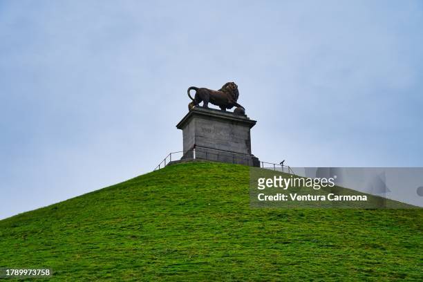 lion of waterloo, belgium - napoleon hill stockfoto's en -beelden