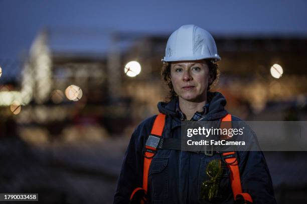 construction portrait - safety harness stock pictures, royalty-free photos & images