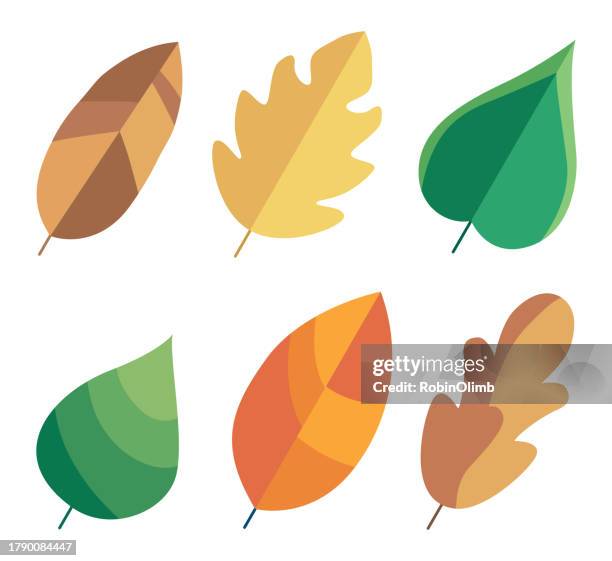 ilustraciones, imágenes clip art, dibujos animados e iconos de stock de conjunto de hojas coloridas - oak leaf