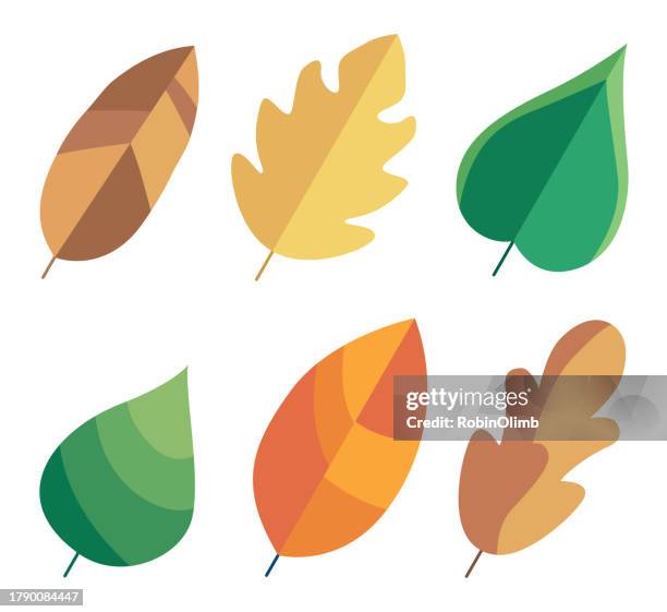 colorful leaves set - fall leaves stock illustrations