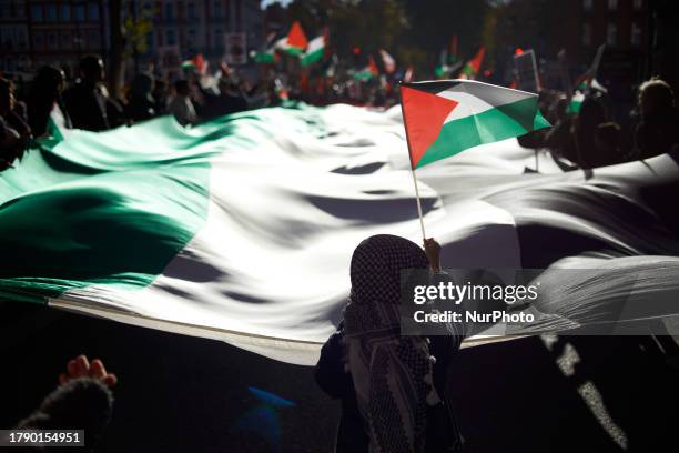Girl waves a Palestianin flag in front of a giant Palestinian flag. Thousands of people desmonstrate e in Toulouse in support of Gazans, the Gaza...