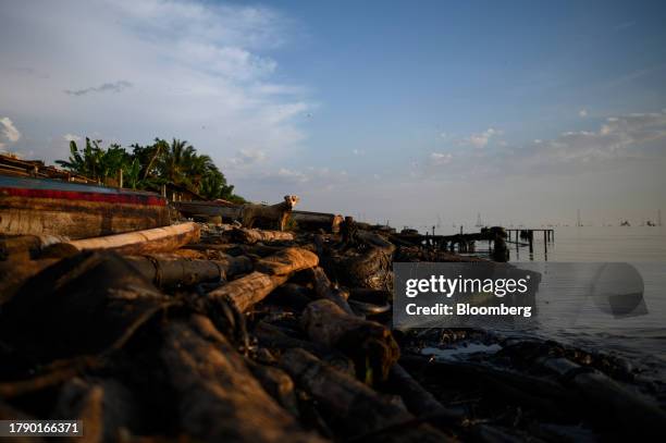 Oil on the shore of Lake Maracaibo in Cabimas, Zulia state, Venezuela, on Friday, Nov. 17, 2023. A decision by the US on Oct. 18 to ease sanctions in...