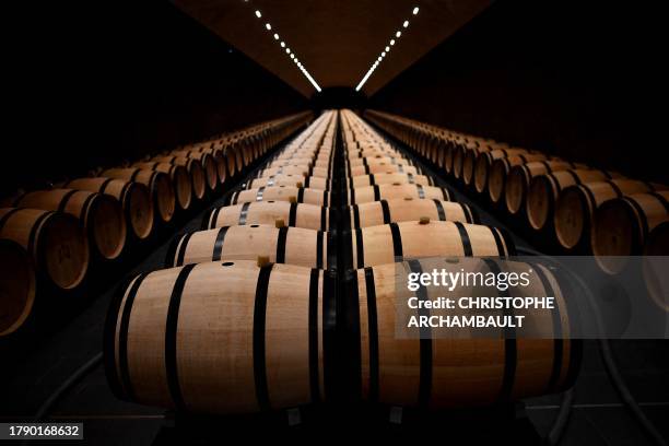 This photograph taken on October 18, 2023 shows wine barrels in the cellar of the Chateau La Tour Carnet in Saint-Laurent-Medoc, southwestern France....