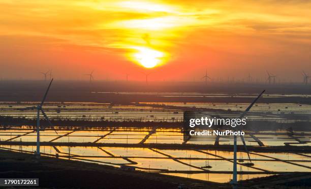 Wind turbine blades rotate in the tidal flat in Yancheng city, Jiangsu province, China, November 18, 2023.