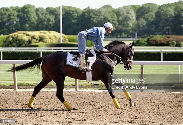 Crypto Star exercises on the track at The Belmont Stakes in Belmont Park in Elmont, New York. Mandatory Credit: Andy Lyons /Allsport