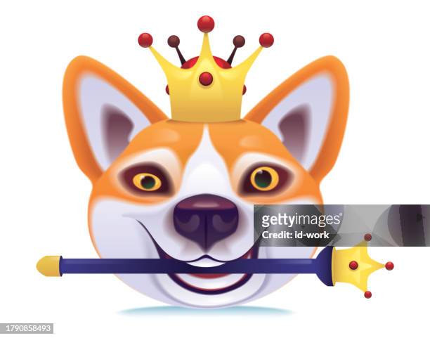funny dog wearing crown and holding scepter icon - pet clothing stock illustrations
