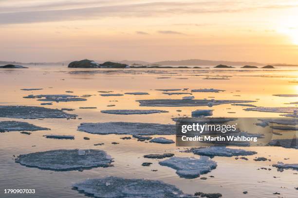 ice floe seascape - gothenburg winter stock pictures, royalty-free photos & images