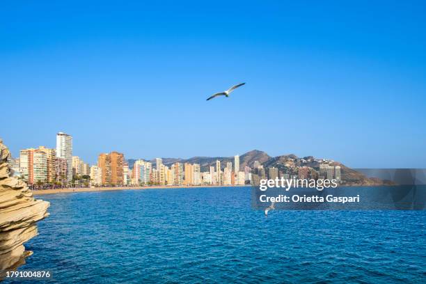 arranha-céus com vista para a praia levante em benidorm, um destino turístico na costa blanca - espanha - valencia spagna - fotografias e filmes do acervo