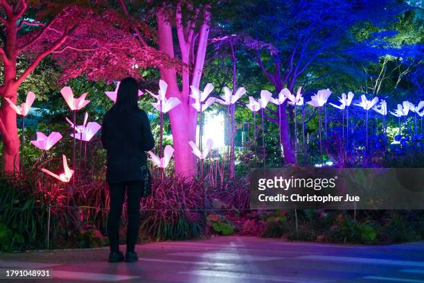 Light art “On the Wings of Freedom,” by Aether & Hemera, Italy, is displayed on November 13, 2023 in Tokyo, Japan. The TORANOMON LIGHT ART event is...