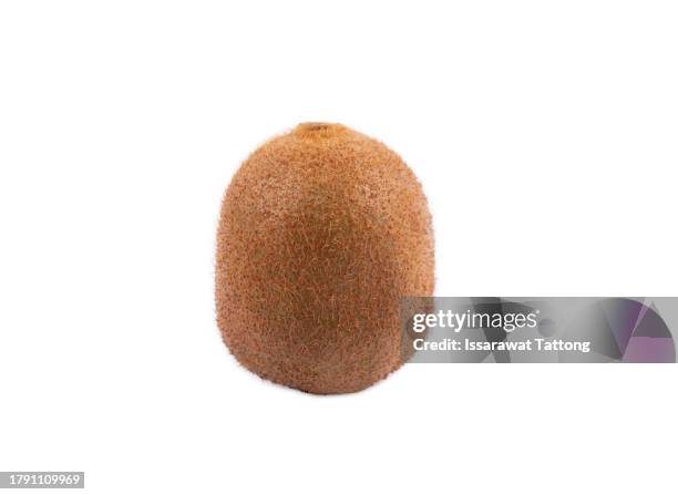 whole kiwi fruit isolated on white background. clipping path. - kiwi fruit stock pictures, royalty-free photos & images
