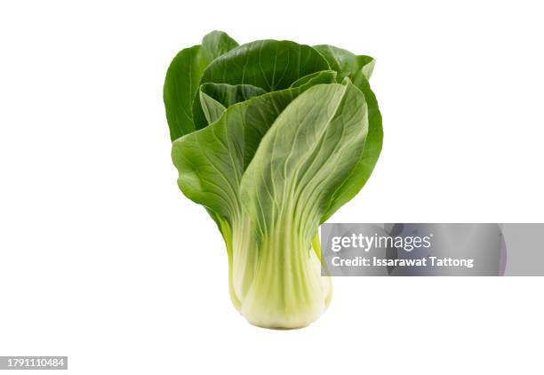 bok choy vegetable isolated on the white background. - bok choy stock pictures, royalty-free photos & images