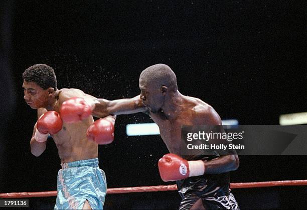 Roger Mayweather and Fidel Avendano trade blows during a bout. Mandatory Credit: Holly Stein /Allsport