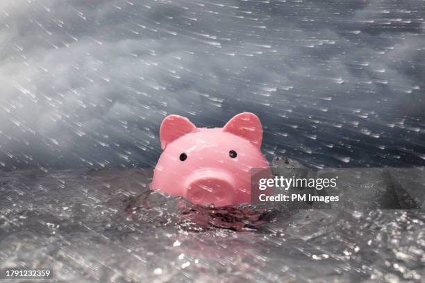 piggy bank in flood - climate change money stock pictures, royalty-free photos & images