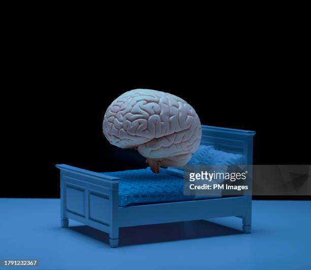 brain in bed - sleep concept - intellectual ventures stock pictures, royalty-free photos & images