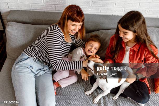 mother with two daughters playing with a dog on a sofa. - hundeartige stock-fotos und bilder