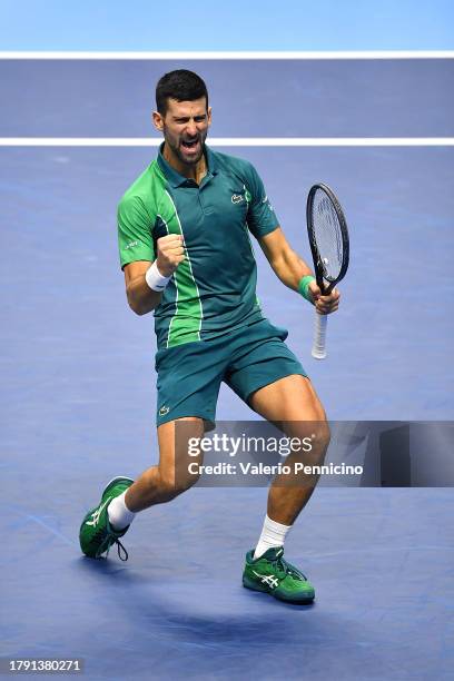 Novak Djokovic of Serbia celebrates match point against Jannik Sinner of Italy during the Men's Singles Finals between Jannik Sinner of Italy and...