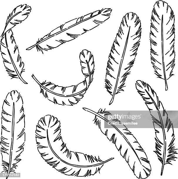 feathers - quill stock illustrations