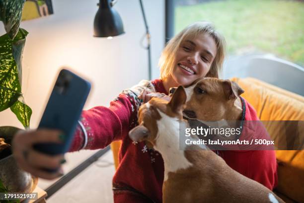young woman taking a holiday selfie with her dog,poland - basenji bildbanksfoton och bilder