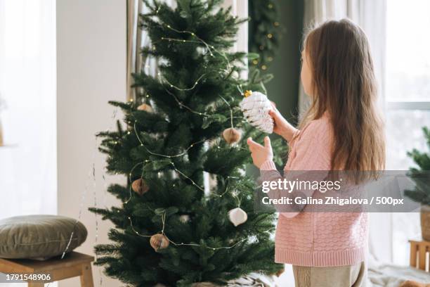 cute tween girl in pink cardigan decorating christmas tree at home,yekaterinburg,sverdlovsk oblast,russia - homeowners decorate their houses for christmas stockfoto's en -beelden