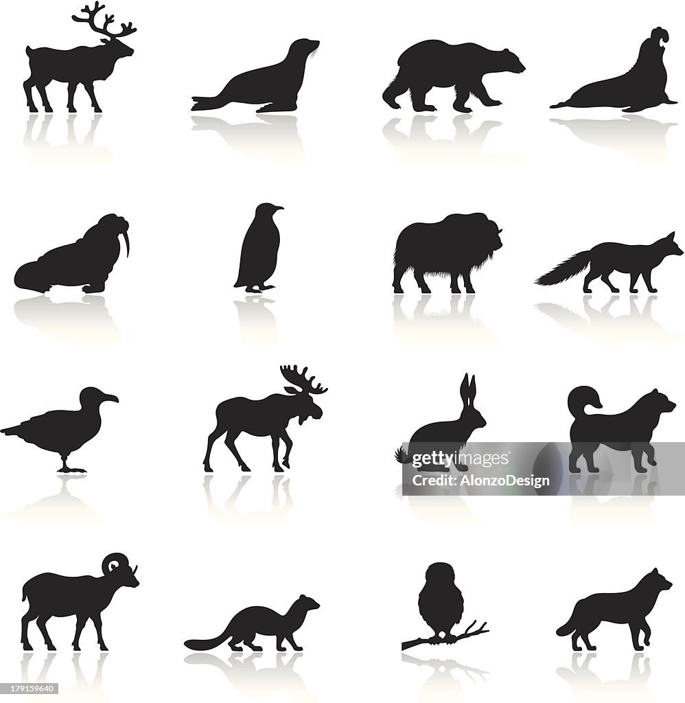 Polar Animals Icon Set
