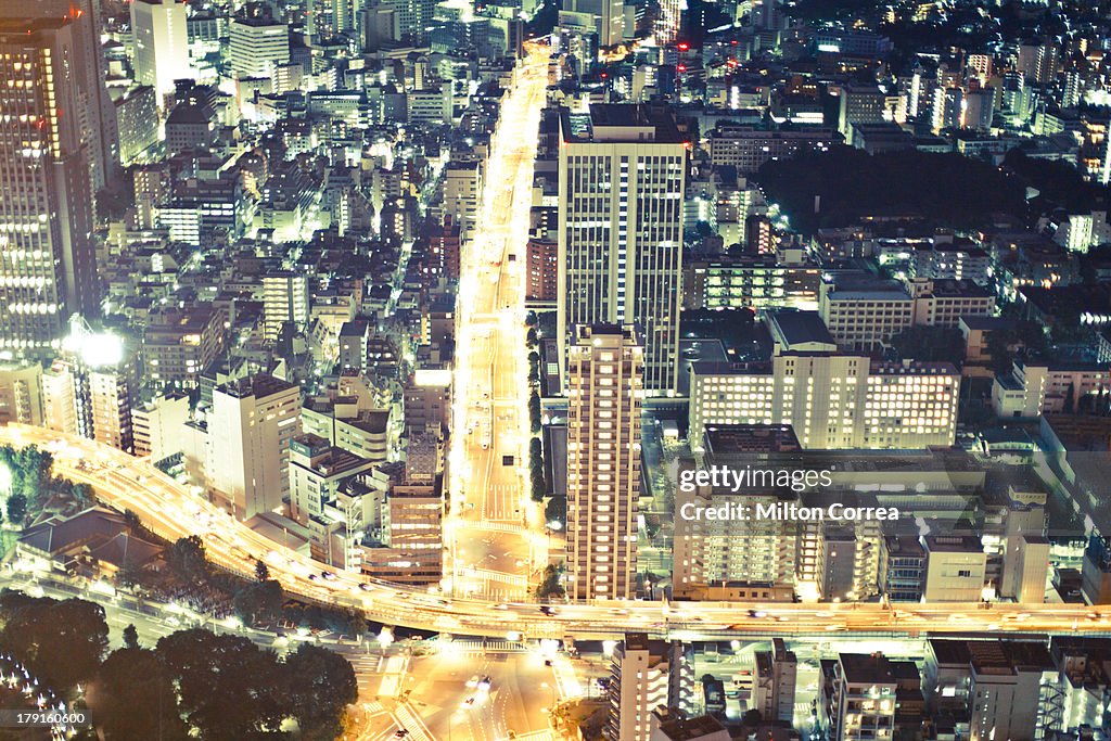 Tokyo Cityscape