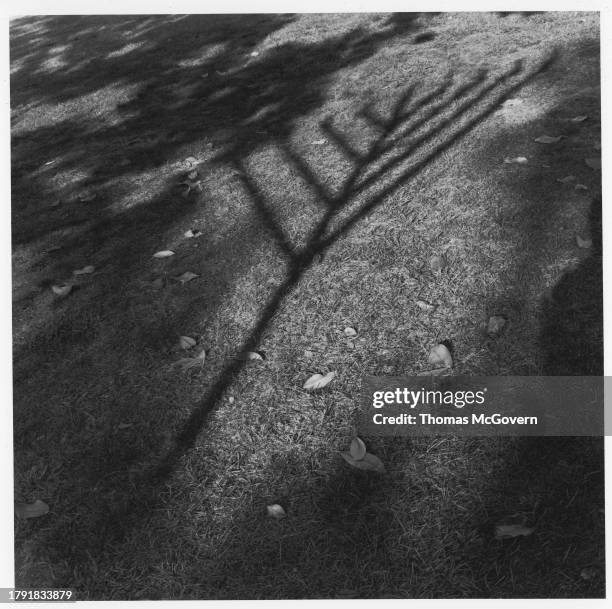 Shadow of a menorah erected in a public park by Chabad of the Inland Empire in Ontario in California in 2012.