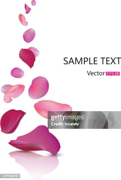 stockillustraties, clipart, cartoons en iconen met falling rose petal - bloemblaadje
