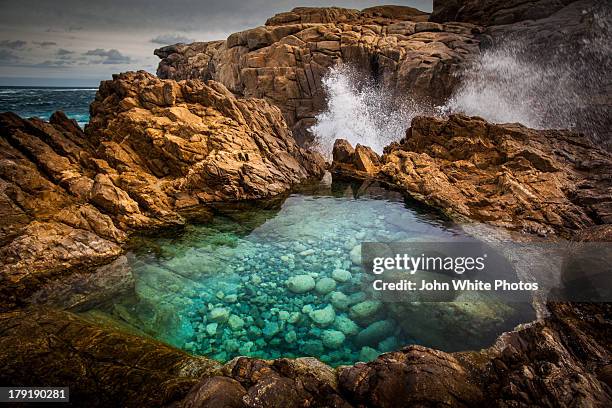 rock pool with clear seawater - gezeitentümpel stock-fotos und bilder