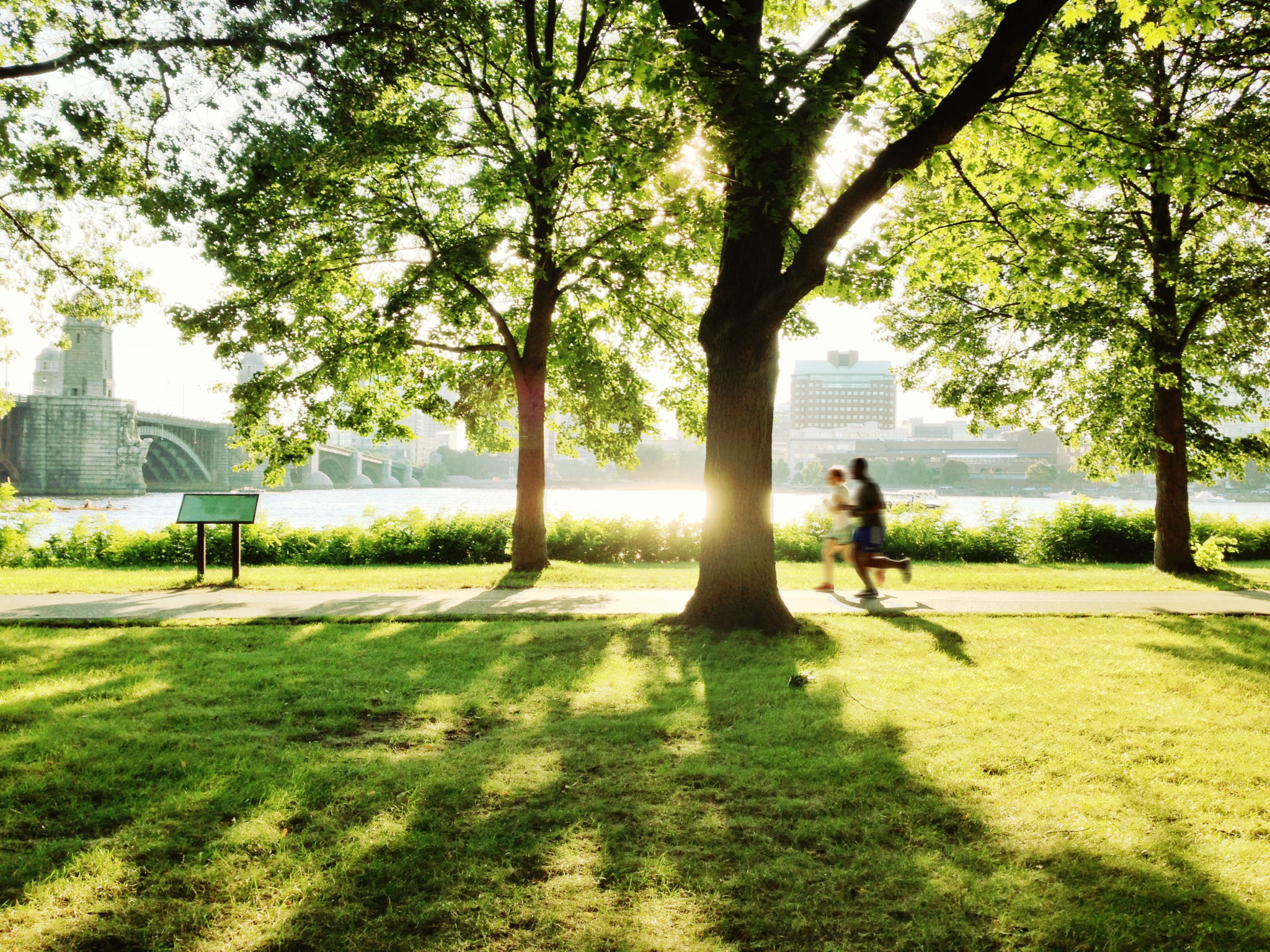 urban park