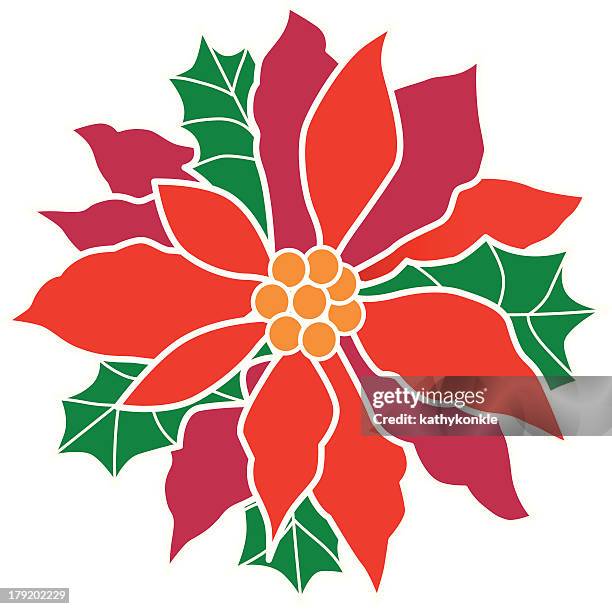 weihnachtsstern-blumen - weihnachtsstern stock-grafiken, -clipart, -cartoons und -symbole