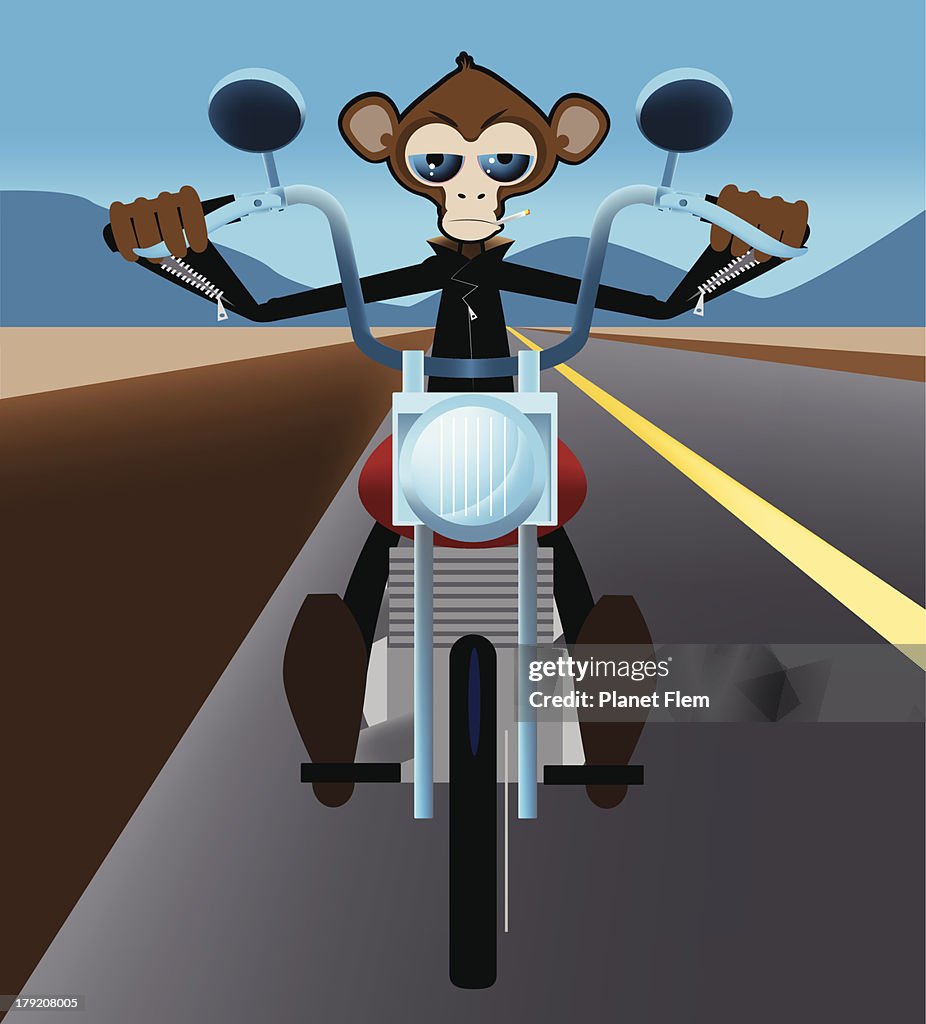 Monkey Biker