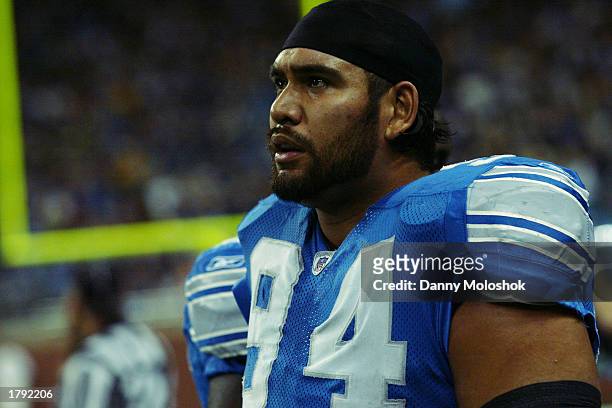 Defensive tackle Luther Elliss of the Detroit Lions looks on from the sideline during the game against the New York Jets at Ford Field on November...