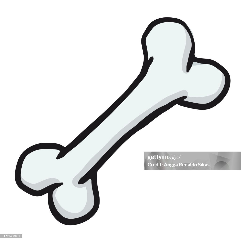 Cartoon Bone Simple Bone Outline Cartoon Isolated On White High-Res Vector Graphic - Getty ...