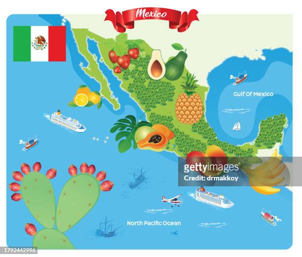 stockillustraties, clipart, cartoons en iconen met mexico fruits map - mexicali