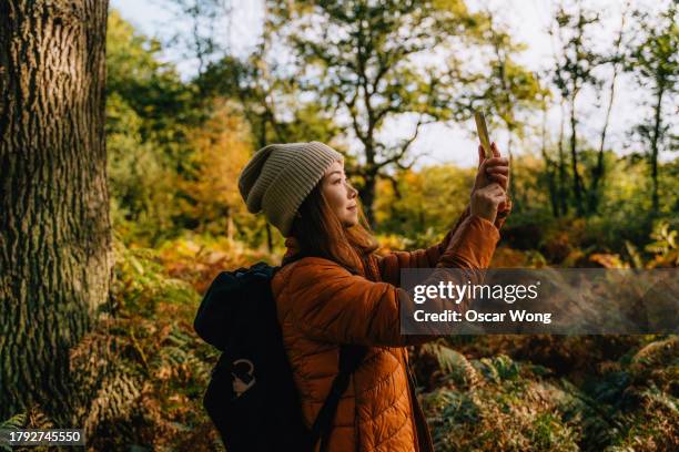 female explorer photographing nature with smartphone in the forest - mensagem com foto imagens e fotografias de stock