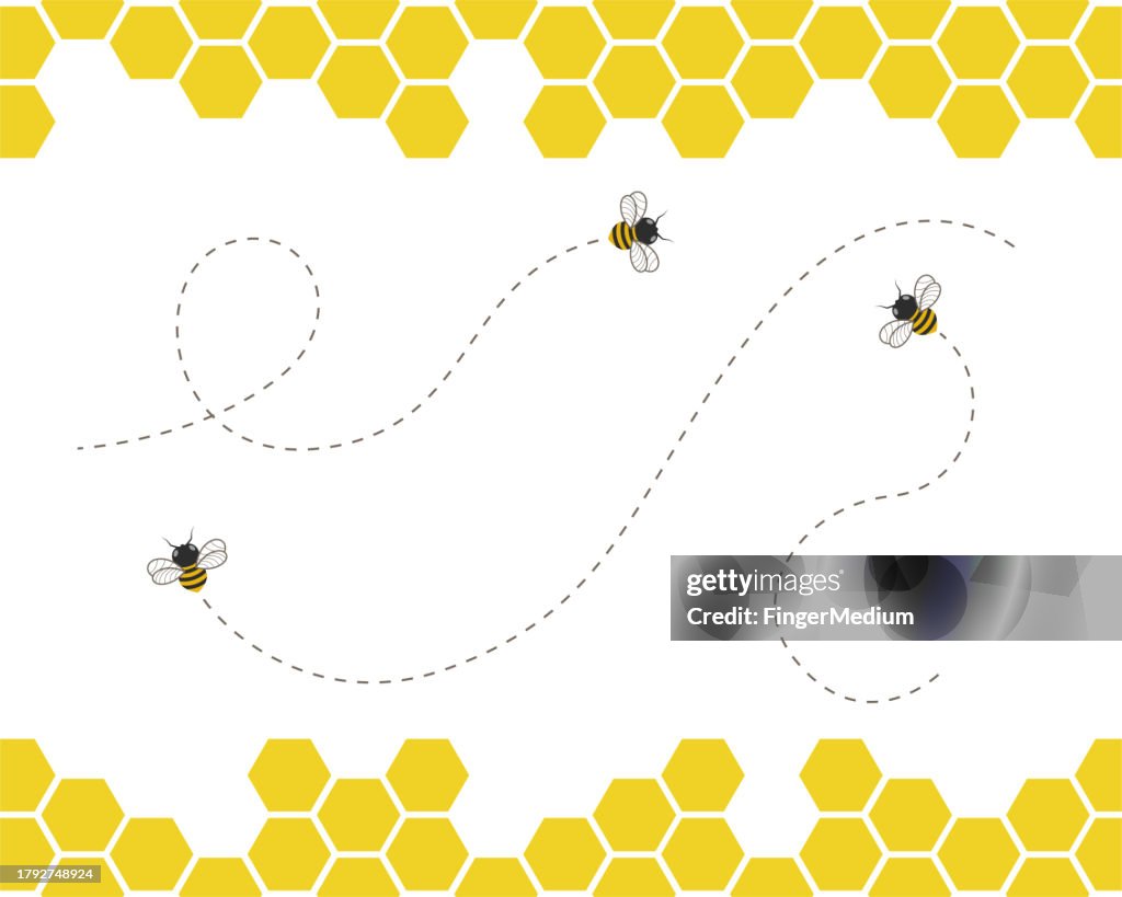 Honey bee vector set