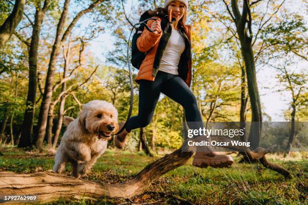 young woman jumping over wooden trunk with her dog while exploring nature - dog jumping stockfoto's en -beelden