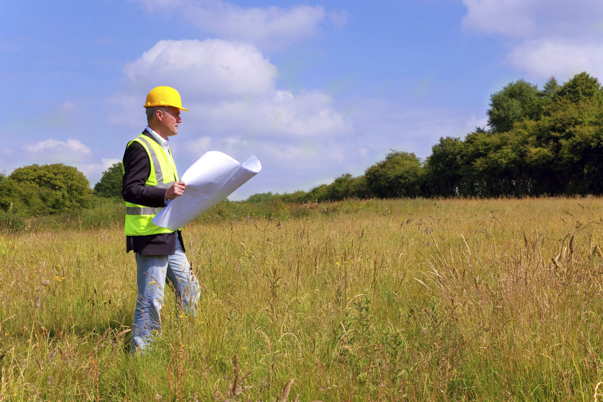 field survey