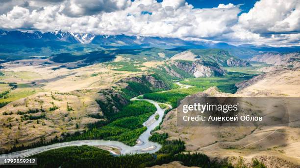 summer landscape in the altai mountains. kurai steppe. top view of the chuya river valley. kosh-agachsky district of the altai republic, south of western siberia - verdigris river bildbanksfoton och bilder