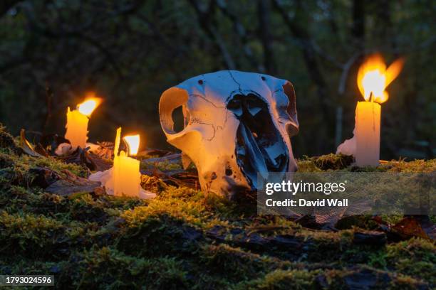 a spooky magical candles around an animal skull on a moss covered tree trunk in a forest in autumn. - wicca stock pictures, royalty-free photos & images