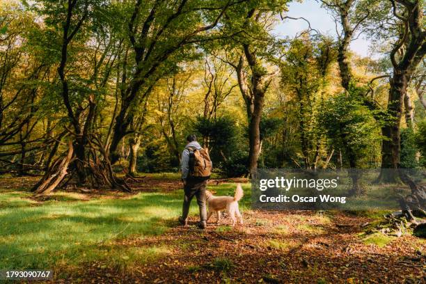 rear view of young asian man exploring forest with his dog - trust exercise stock pictures, royalty-free photos & images