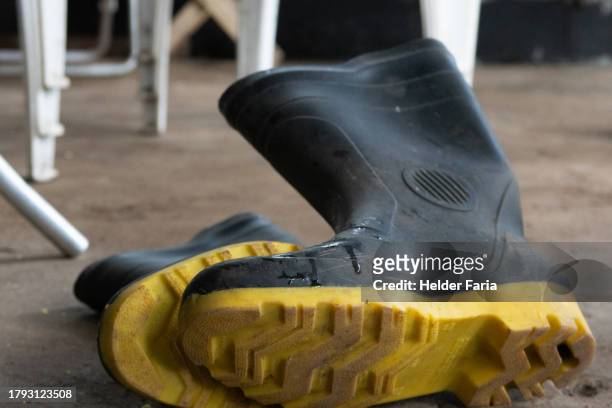a pair of black and yellow rubber galoshes lying on the ground - rubber foto e immagini stock