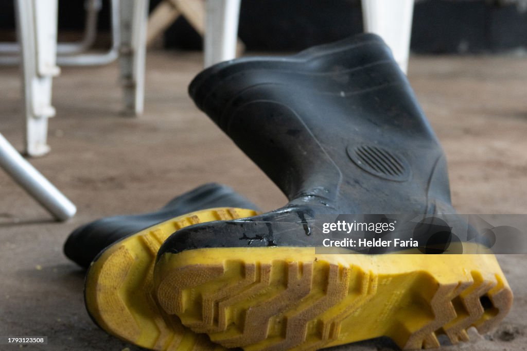 A pair of black and yellow rubber galoshes lying on the ground