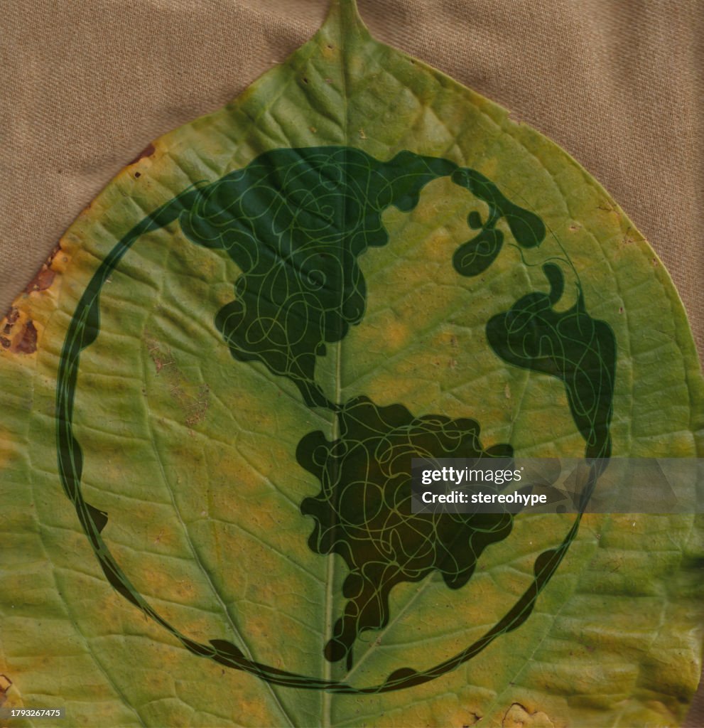 Hoja de tierra