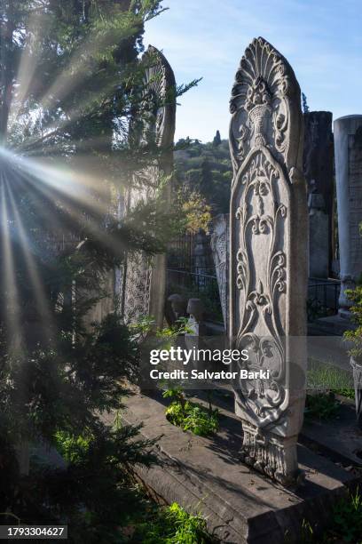 Script Tomestone 774 Tombstone Script Stock Photos, High-Res Pictures, and Images ...